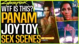 Cyberpunk 2077: PANAM JOYTOY & NEW SEX SCENES – How To Get Panam Joy Toy – Reacting (PC MOD)