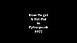 How To Get a Pet Cat in Cyberpunk 2077 #Shorts