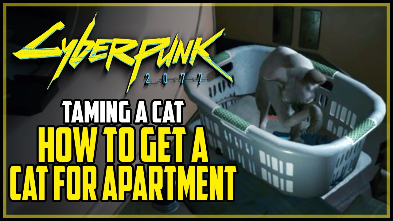 How to Get a Cat Cyberpunk 2077 Cyberpunk 2077 videos