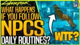 What Happens If You Follow NPCS? – Daily Routines? – Cyberpunk 2077 – Jackie, Meredith & Dexter