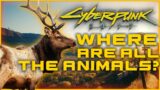 Where Are All The Animals in Cyberpunk? Cyberpunk 2077 Lore!