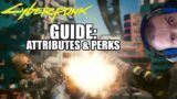 Cyberpunk 2077 guide: Attribute points, perks & skills