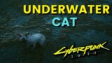 Underwater Cat in Cyberpunk 2077 (Secret Location)