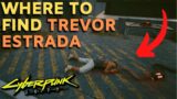 Cyberpunk 2077 – Where To Find Trevor Estrada (Secret Location)