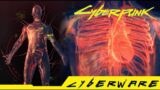 Cyberpunk 2077 – Where can you get Qiant "Warp Dancer" Sandevistan MK.5 Legendary/Iconic Cyberware