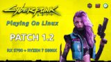 Cyberpunk 2077 Patch 1.2 | 1080p | RX 5700 + Ryzen 7 5800x | Linux Gaming