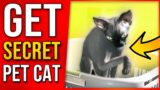 GET A Secret PET CAT in Cyberpunk 2077 Tips & Tricks!