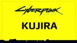 Cyberpunk 2077 Kujira – Arasaka – Info Flash with Ruth Dzeng