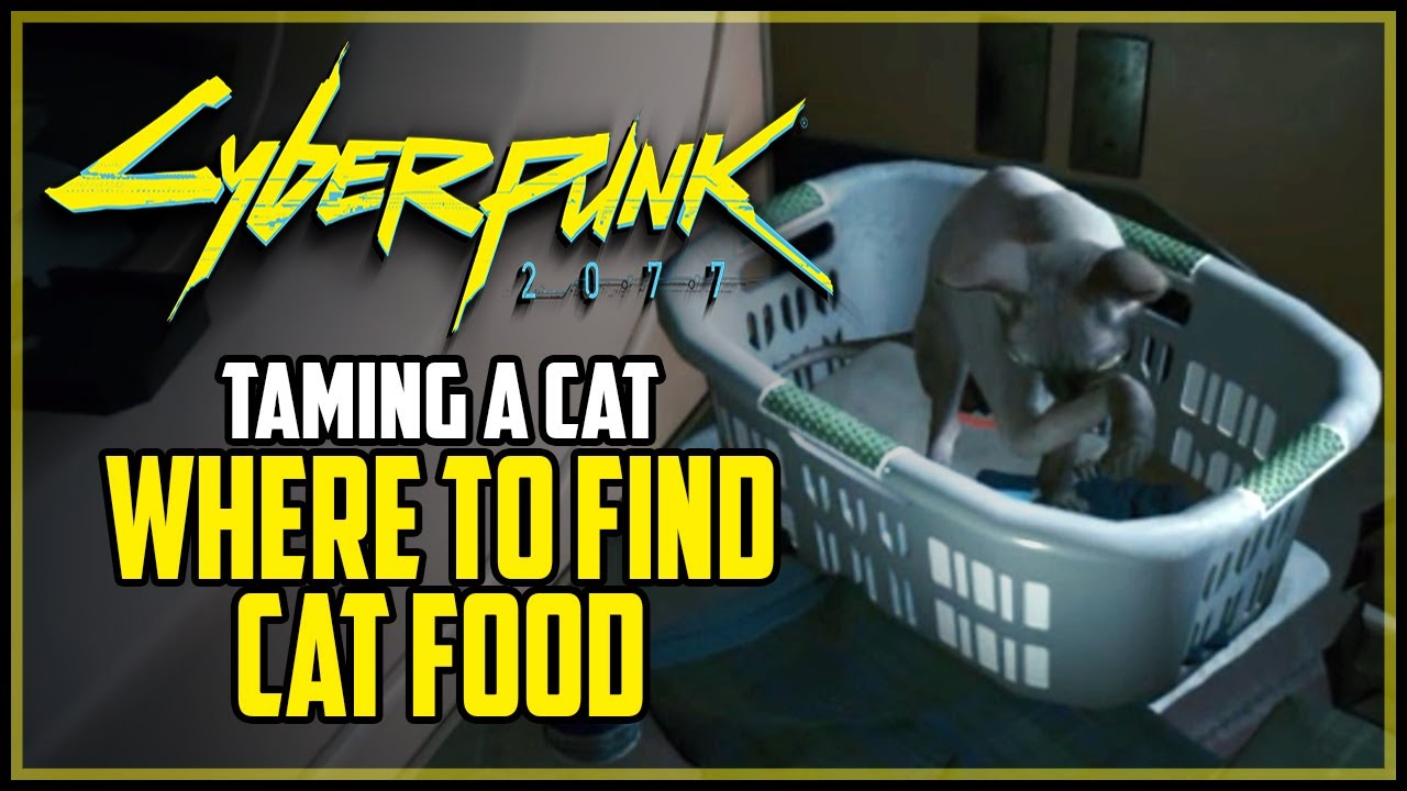 How to Get Cat Food Cyberpunk 2077 Cyberpunk 2077 videos