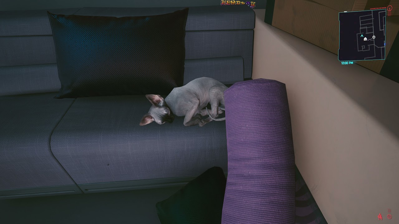 Nibbles sleeping Cyberpunk 2077 Cyberpunk 2077 videos