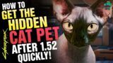 Get your CAT PET in minutes in CYBERPUNK 2077