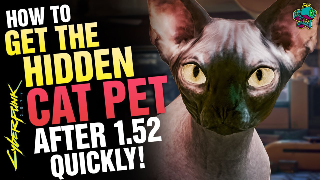 Get your CAT PET in minutes in CYBERPUNK 2077 Cyberpunk 2077 videos