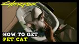How to Get a Pet Cat in Cyberpunk 2077 (Secret Quest & Pet Cat Location)