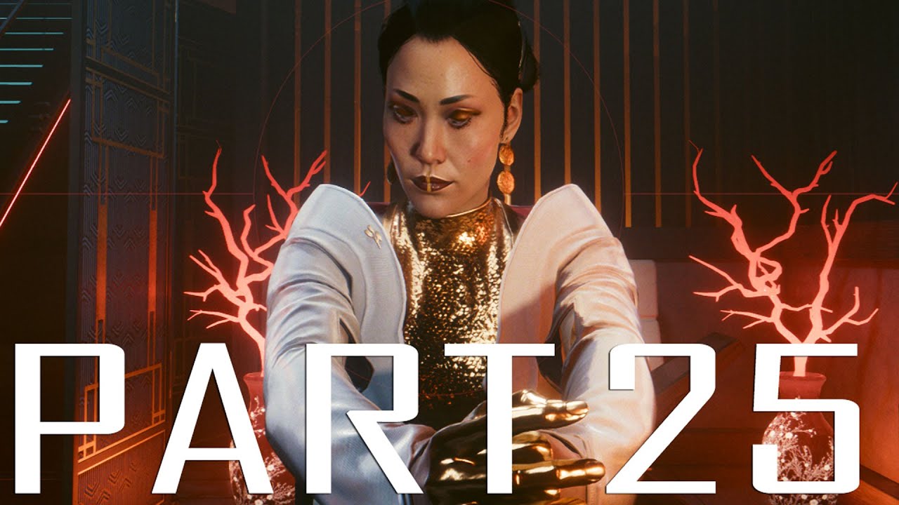 Cyberpunk 2077 Ultra Settings PC Walkthrough Part 25 Play It Safe, Meet