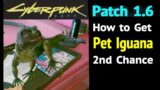 Pet Iguana (2nd Chance) Patch 1.6 (Cyberpunk 2077) Re-Enter Konpeki Plaza & How to Hatch Iguana Egg