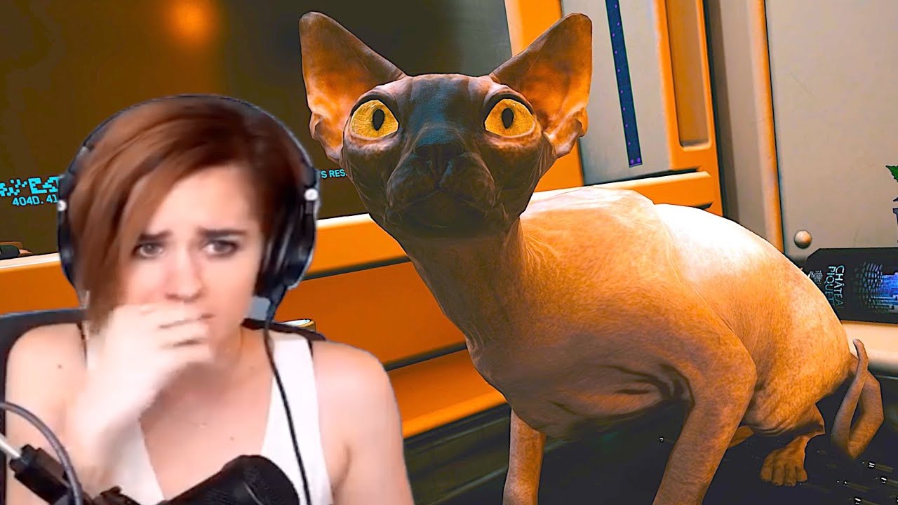 You can now Pet The Cat in Cyberpunk 2077 Cyberpunk 2077 videos