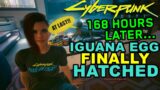 Cyberpunk 2077 – 168 Hours later…The Iguana Egg FINALLY hatched