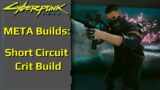 Cyberpunk 2077: Short Circuit Crit Builds
