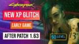 Cyberpunk 2077 XP Glitch | New XP Farm! Patch 1.63! Level 50 In 1 Minute!