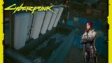 Cyberpunk 2077 – Songbird Talks About Rache Bartmoss