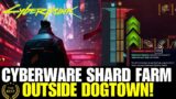 NEW Unlimited Cyberware Capacity Shards – OUTSIDE Dogtown Cyberpunk 2077