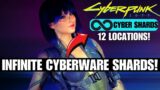 12 Locations! To Get A Cyberware Capacity Shard In Cyberpunk 2077