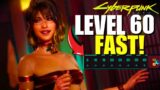 How To MAX OUT All Skills To Level 60 Fast! In Cyberpunk 2077