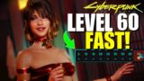Cyberpunk 2077 – How To MAX OUT All Skills TO LEVEL 60 FAST!