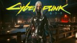 This Is What A Real Ninja Looks Like In Cyberpunk 2077