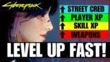 Cyberpunk 2077 – Level Up EVERYTHING FAST! XP| Street Cred | Attribute Points | Best XP Farm